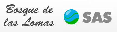 SAS Condominios